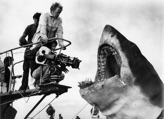Filming Bruce