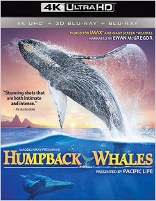 Humpback Whales (4K Ultra HD Blu-ray Disc)