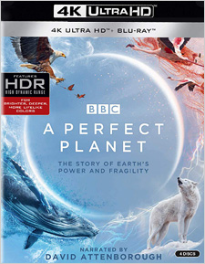 Perfect Planet (4K Ultra HD)