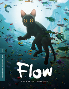 Flow (4K Ultra HD)