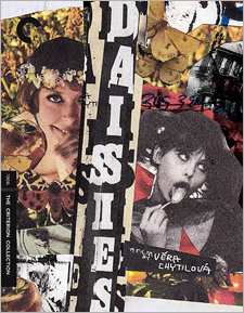 Daisies (Criterion Blu-ray Disc)